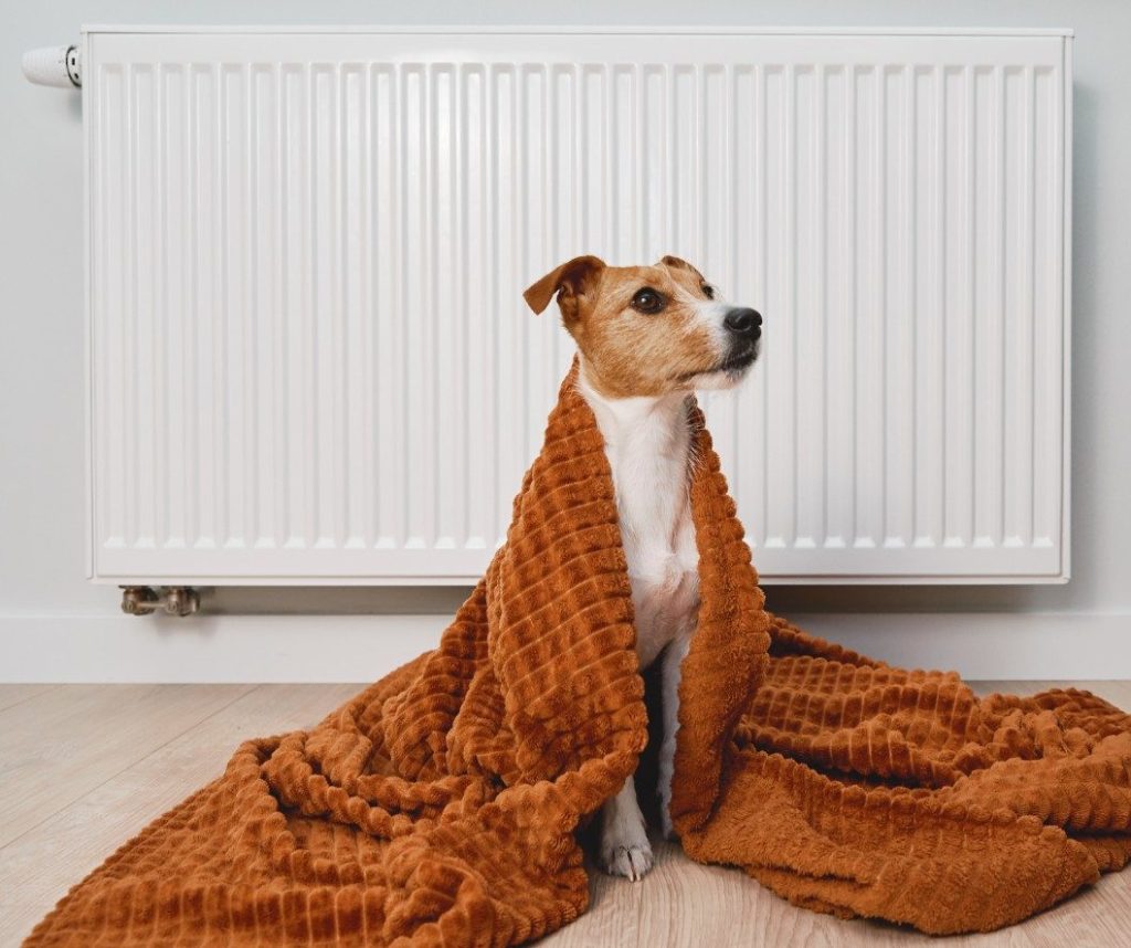 Air Source Heat Pumps