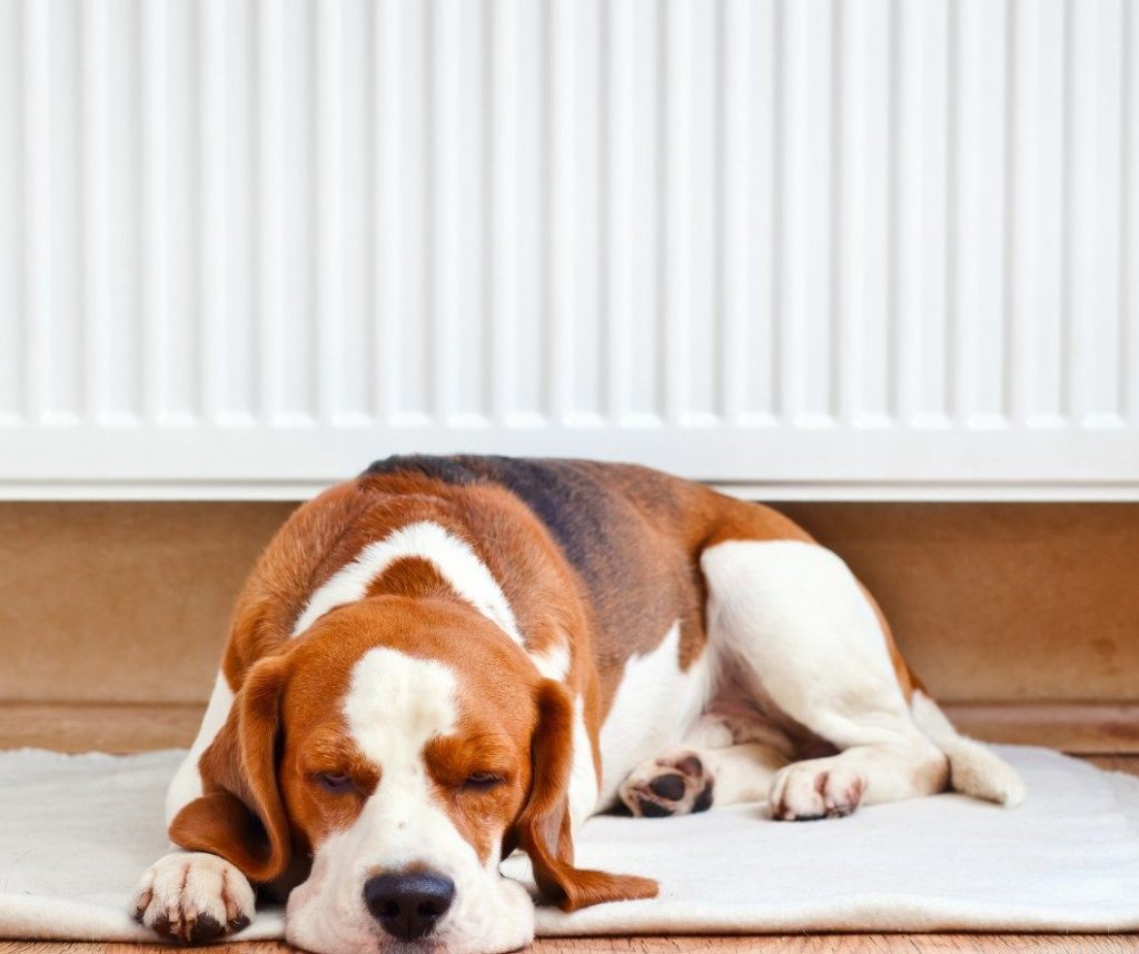 Heating Engineer